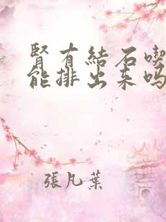 肾有结石吃中药能排出来吗