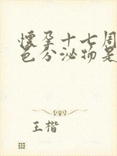 怀孕十七周有白色分泌物是什么原因