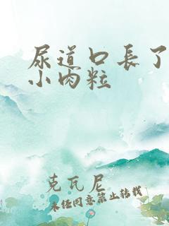 尿道口长了两个小肉粒