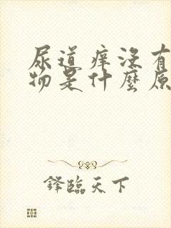 尿道痒没有分泌物是什么原因