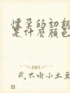 怀孕的初期尿液是什么颜色