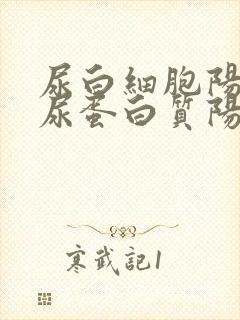 尿白细胞阳性,尿蛋白质阳性是咋回事