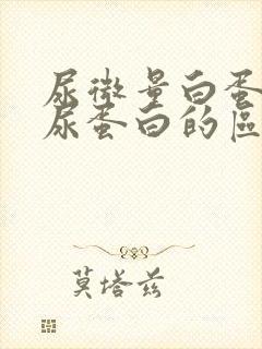 尿微量白蛋白和尿蛋白的区别