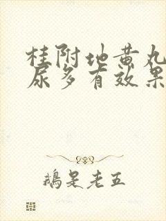 桂附地黄丸对夜尿多有效果吗