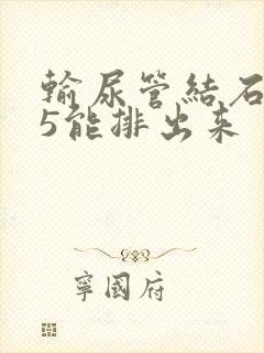 输尿管结石0.5能排出来