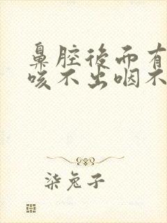 鼻腔后面有粘液咳不出咽不下