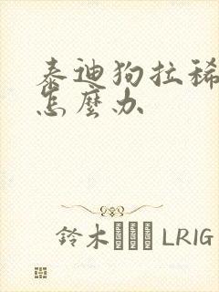 泰迪狗拉稀带血怎么办