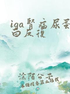 iga肾病尿蛋白反复