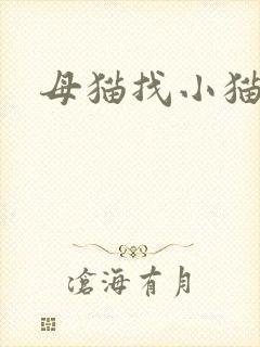 母猫找小猫叫声