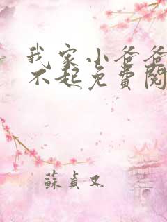 我家小爸爸你惹不起免费阅读