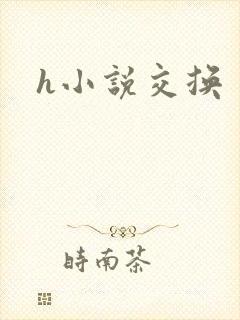 h小说交换