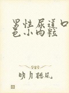 男性尿道口有白色小肉粒