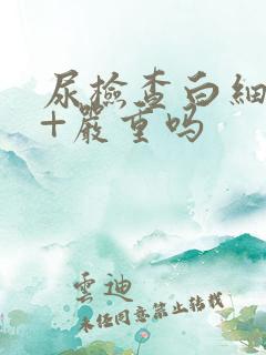 尿检查白细胞3+严重吗