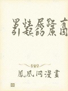 男性尿路有感染引起的原因