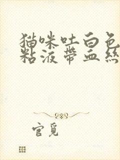 猫咪吐白色透明粘液带血丝