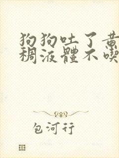 狗狗吐了黄黄粘稠液体不吃东西怎么办