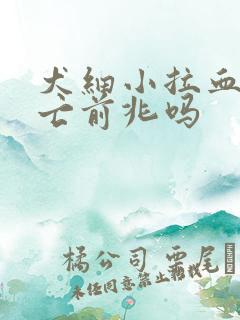 犬细小拉血是死亡前兆吗