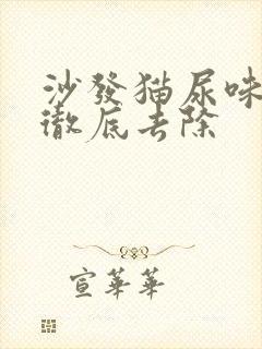 沙发猫尿味怎么彻底去除