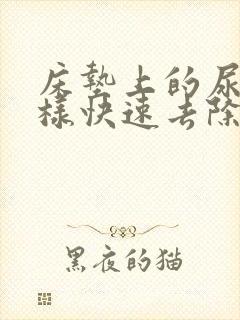 床垫上的尿渍怎样快速去除