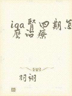 iga肾四期怎么治疗