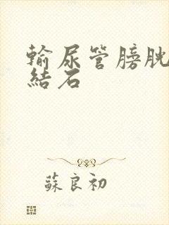 输尿管膀胱壁段结石