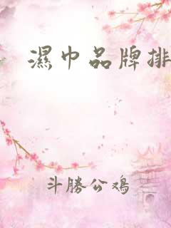 湿巾品牌排行榜