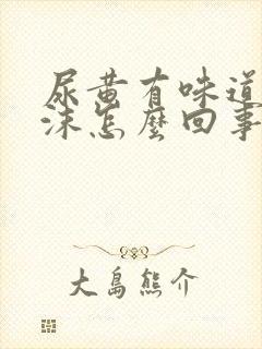 尿黄有味道有泡沫怎么回事