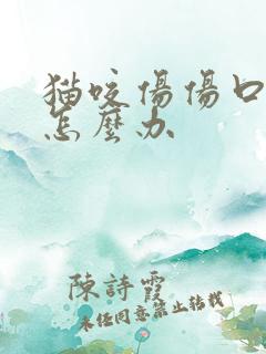 猫咬伤伤口化脓怎么办