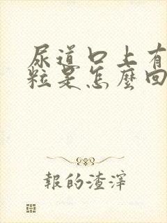 尿道口上有肉肉粒是怎么回事