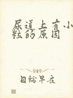 尿道上有小红肉粒的原因