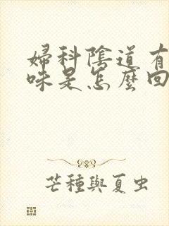 妇科阴道有腥臭味是怎么回事