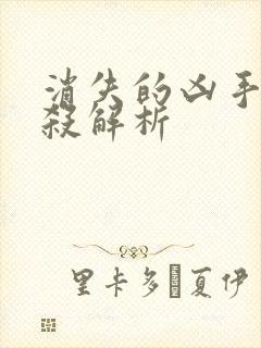 消失的凶手剧本杀解析