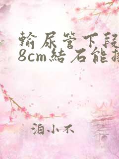 输尿管下段0.8cm结石能排出吗