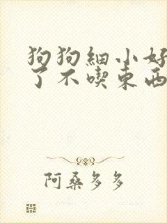 狗狗细小好几天了不吃东西怎么办