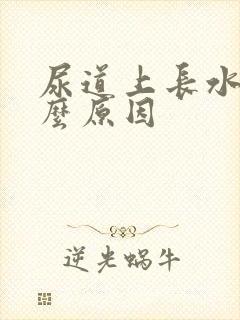 尿道上长水泡什么原因