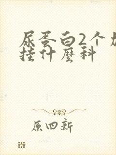 尿蛋白2个加号挂什么科