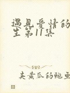 遇见爱情的利先生第11集