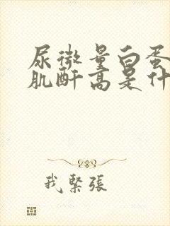 尿微量白蛋白尿肌酐高是什么意思