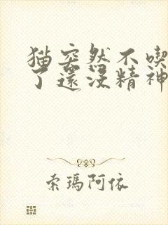 猫突然不吃东西了还没精神怎么办