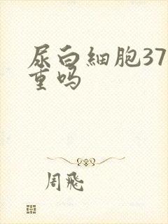 尿白细胞37严重吗