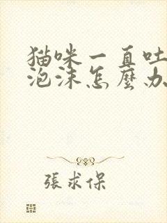 猫咪一直吐白色泡沫怎么办