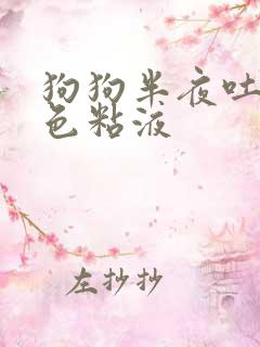 狗狗半夜吐了白色粘液