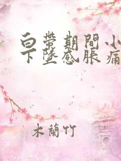 白带期间小腹有下坠感胀痛