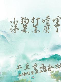 小狗打喷嚏流鼻涕是怎么了