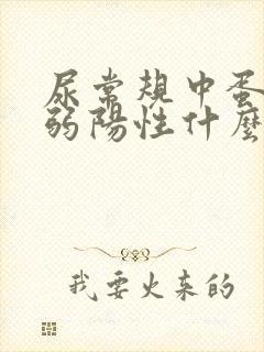 尿常规中蛋白质弱阳性什么意思