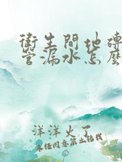 卫生间地砖下水管漏水怎么办