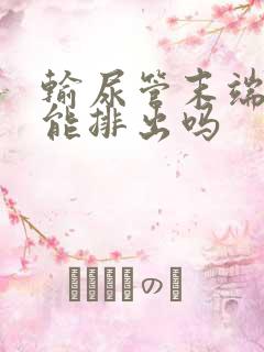 输尿管末端结石能排出吗