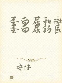 蛋白尿和微量白蛋白尿的区别