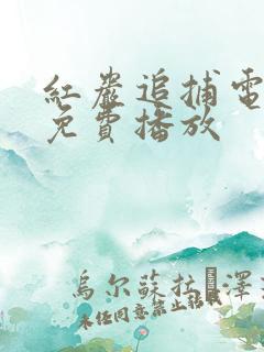 红岩追捕电视剧免费播放