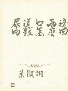 尿道口两边是红肉粒怎么回事